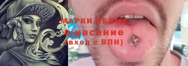 шишки Алзамай