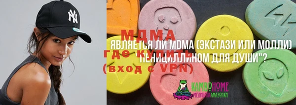 ешки Алексин