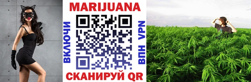 нарко площадка Telegram  продажа наркотиков  Сольвычегодск  Каннабис индика 